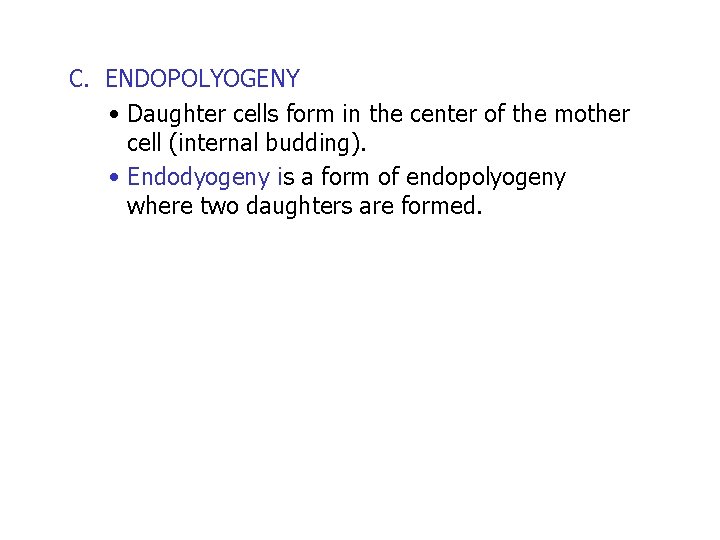 C. ENDOPOLYOGENY • Daughter cells form in the center of the mother cell (internal