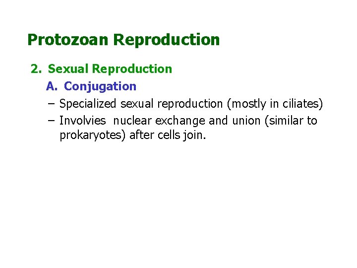 Protozoan Reproduction 2. Sexual Reproduction A. Conjugation – Specialized sexual reproduction (mostly in ciliates)