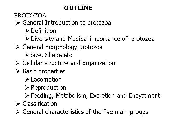 OUTLINE PROTOZOA Ø General Introduction to protozoa Ø Definition Ø Diversity and Medical importance