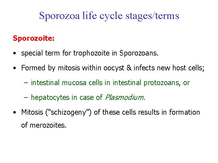 Sporozoa life cycle stages/terms Sporozoite: • special term for trophozoite in Sporozoans. • Formed