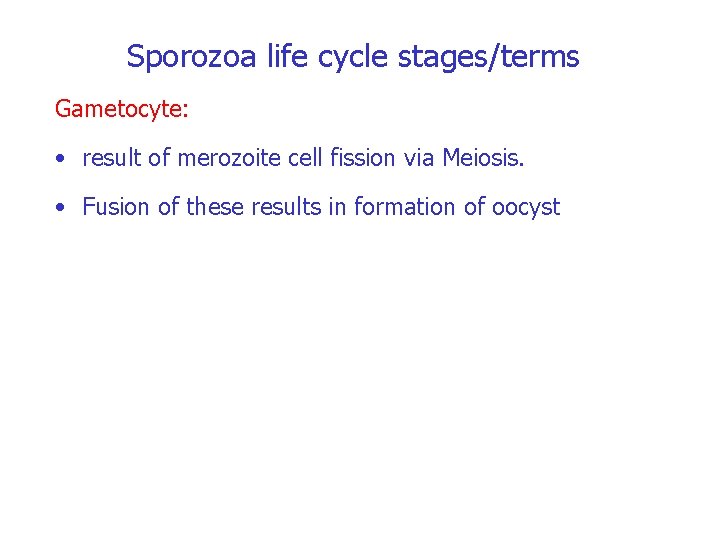 Sporozoa life cycle stages/terms Gametocyte: • result of merozoite cell fission via Meiosis. •