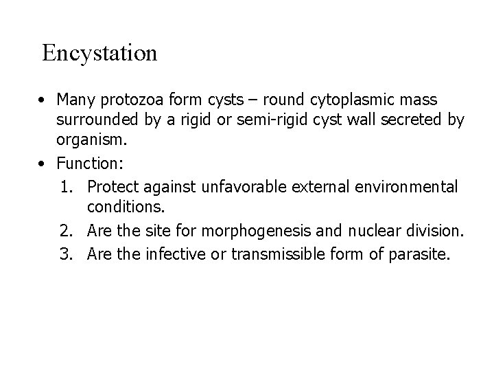 Encystation • Many protozoa form cysts – round cytoplasmic mass surrounded by a rigid