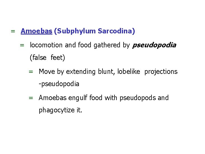 = Amoebas (Subphylum Sarcodina) = locomotion and food gathered by pseudopodia (false feet) =