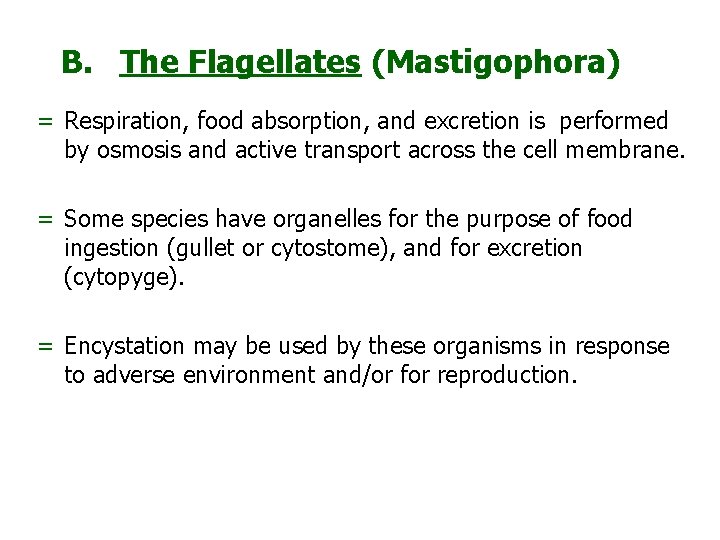 B. The Flagellates (Mastigophora) = Respiration, food absorption, and excretion is performed by osmosis