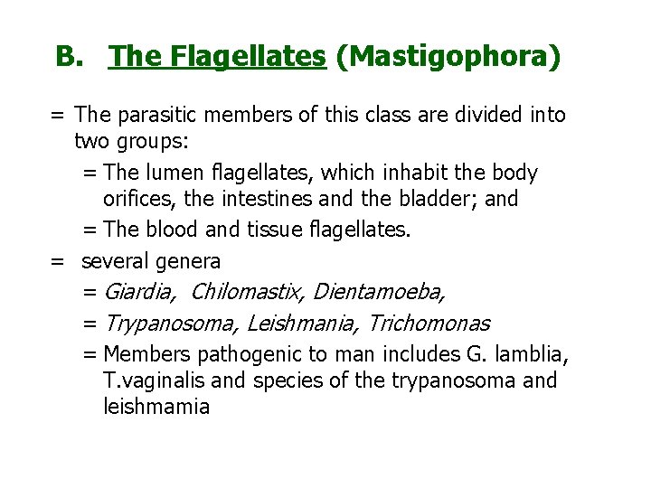 B. The Flagellates (Mastigophora) = The parasitic members of this class are divided into