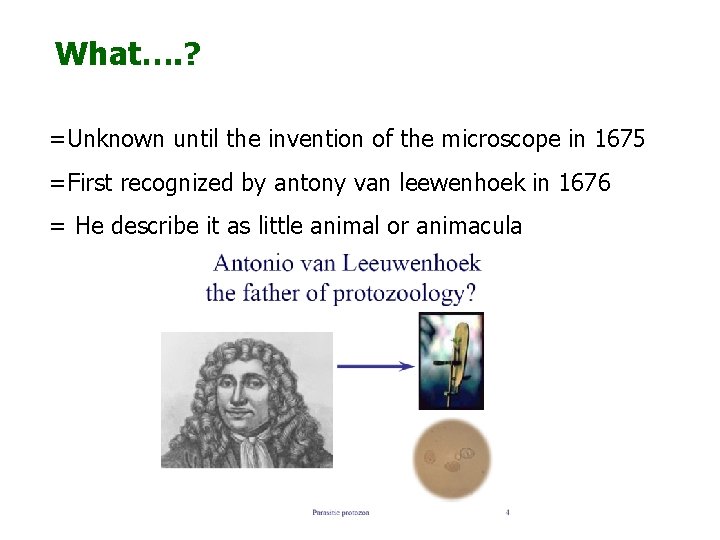 What…. ? =Unknown until the invention of the microscope in 1675 =First recognized by