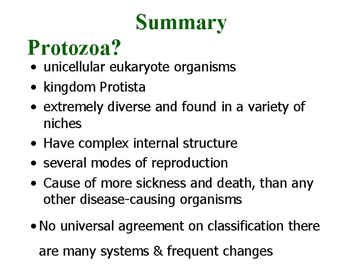 Summary Protozoa? • unicellular eukaryote organisms • kingdom Protista • extremely diverse and found