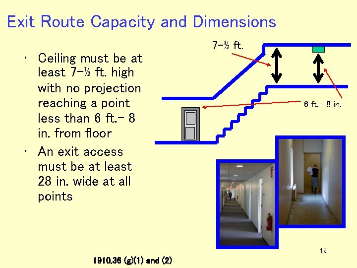 Exit Route Capacity and Dimensions • Ceiling must be at least 7 -½ ft.