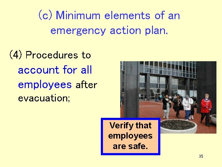 (c) Minimum elements of an emergency action plan. (4) Procedures to account for all
