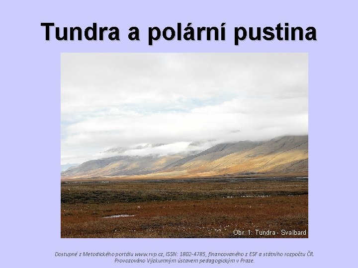 Tundra a polární pustina Obr. 1: Tundra - Svalbard Dostupné z Metodického portálu www.