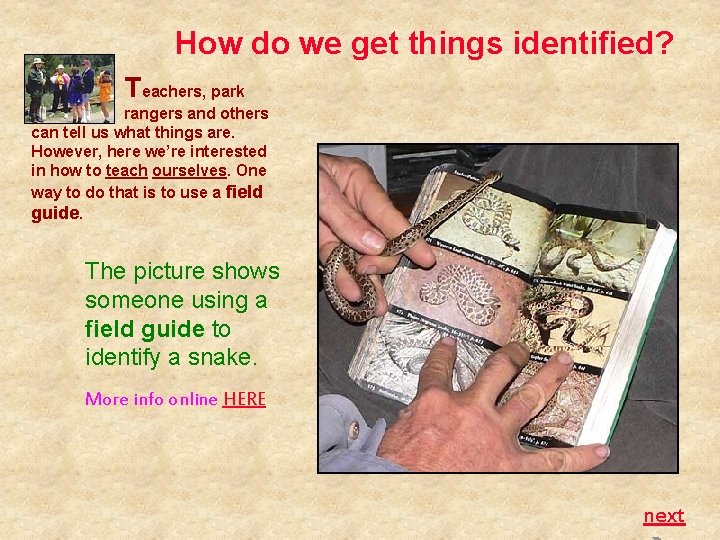 How do we get things identified? Teachers, park rangers and others can tell us