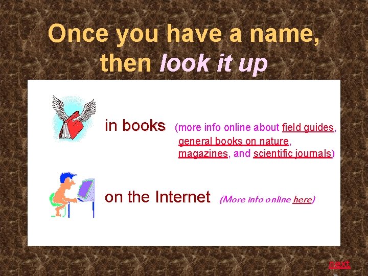 Once you have a name, then look it up in books (more info online