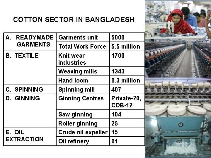 COTTON SECTOR IN BANGLADESH A. READYMADE Garments unit GARMENTS Total Work Force B. TEXTILE