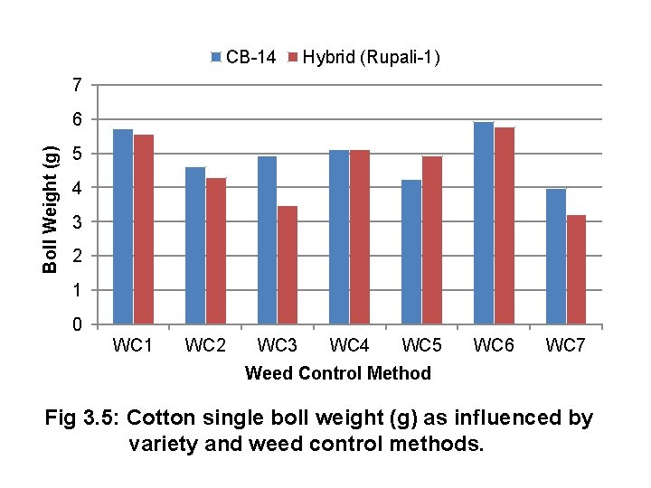 CB-14 Hybrid (Rupali-1) 7 Boll Weight (g) 6 5 4 3 2 1 0