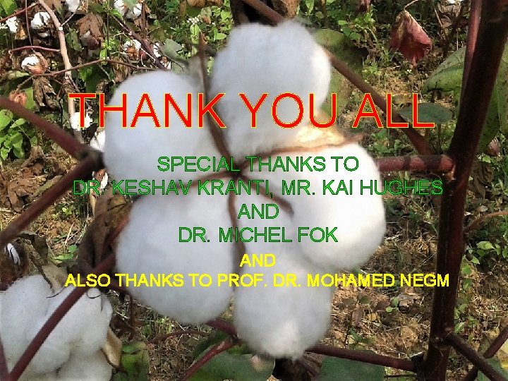 THANK YOU ALL SPECIAL THANKS TO DR. KESHAV KRANTI, MR. KAI HUGHES AND DR.