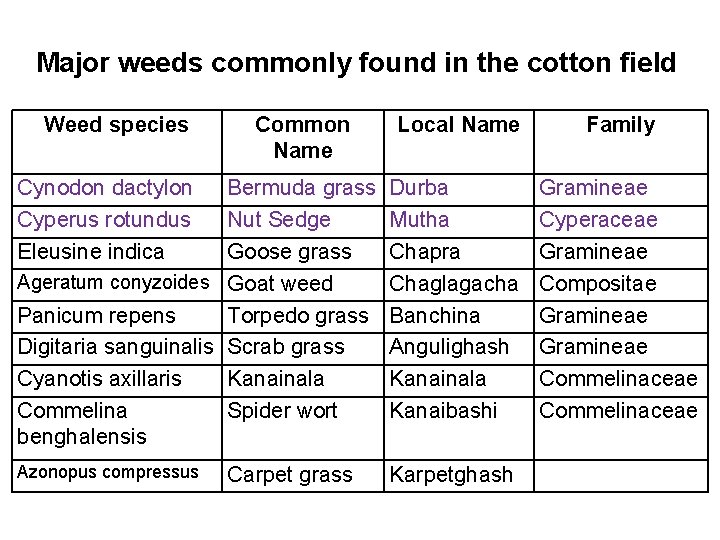 Major weeds commonly found in the cotton field Weed species Common Name Local Name