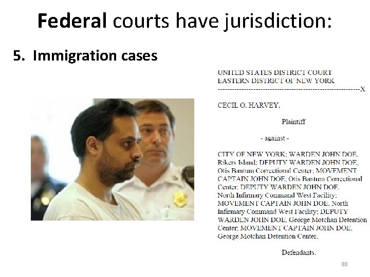 Federal courts have jurisdiction: 5. Immigration cases 88 