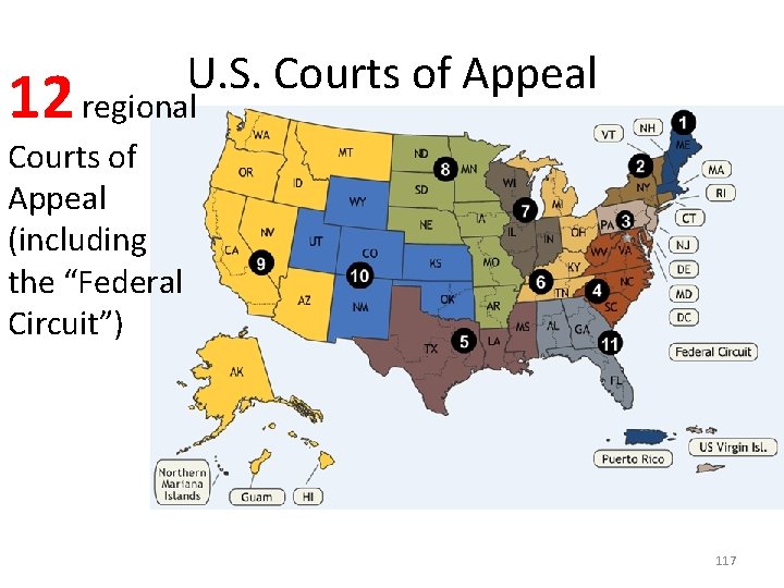 U. S. Courts of Appeal 12 regional Courts of Appeal (including the “Federal Circuit”)