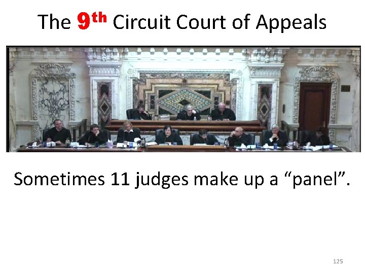 The th 9 Circuit Court of Appeals Sometimes 11 judges make up a “panel”.