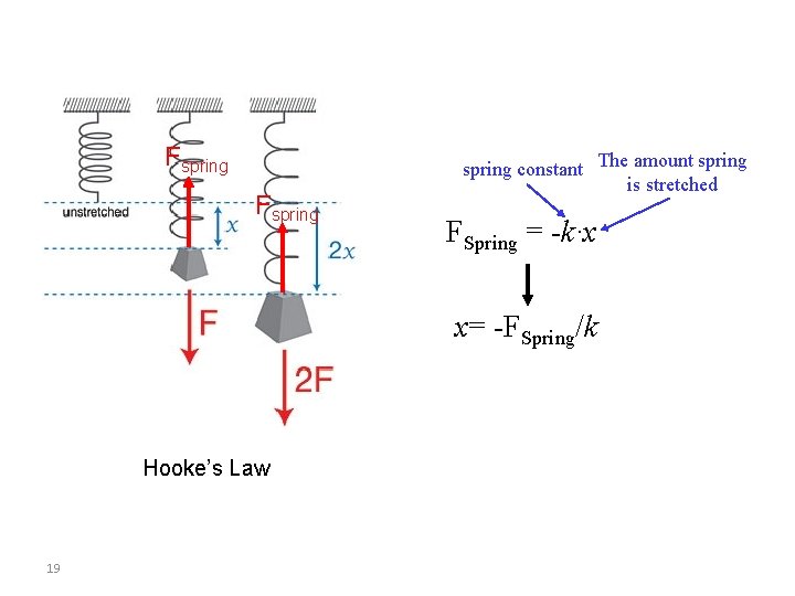 Fspring constant The amount spring is stretched FSpring = -k∙x x= -FSpring/k Hooke’s Law