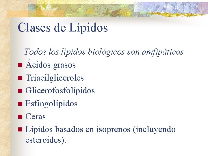 Clases de Lípidos Todos lípidos biológicos son amfipáticos n Ácidos grasos n Triacilgliceroles n