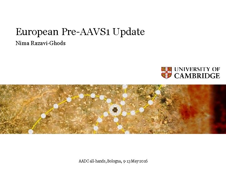 European Pre-AAVS 1 Update Nima Razavi-Ghods AADC all-hands, Bologna, 9 -13 May 2016 