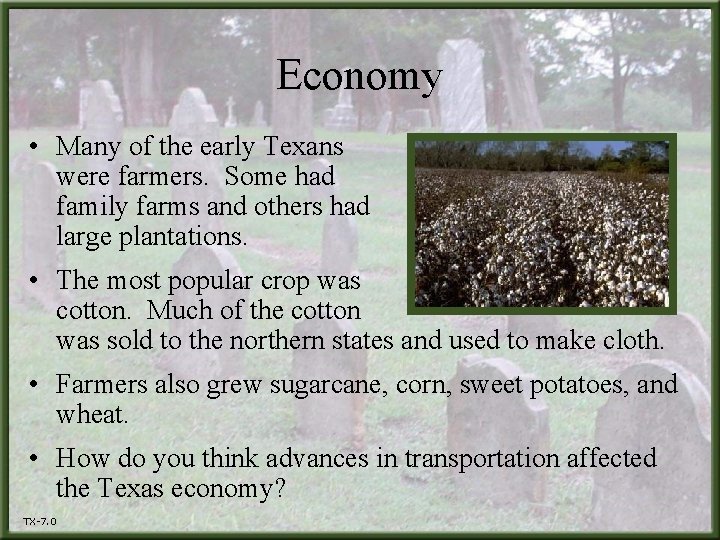 Economy • Many of the early Texans were farmers. Some had family farms and