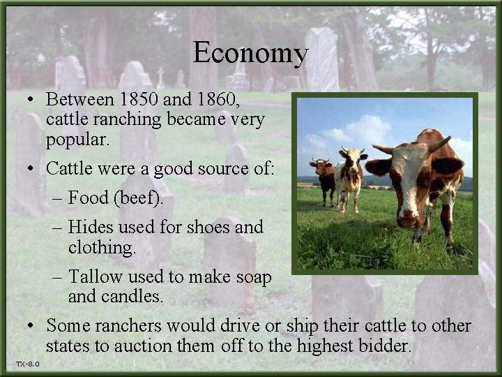 Economy • Between 1850 and 1860, cattle ranching became very popular. • Cattle were