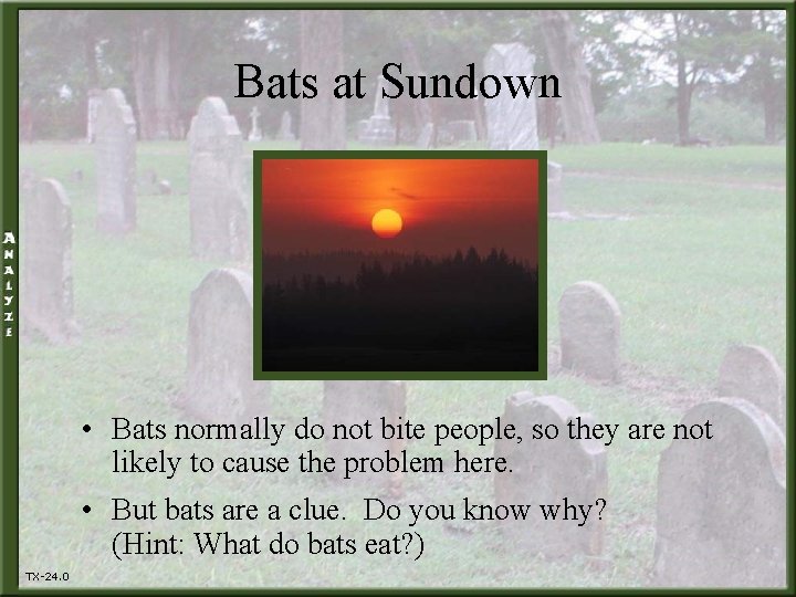 Bats at Sundown • Bats normally do not bite people, so they are not