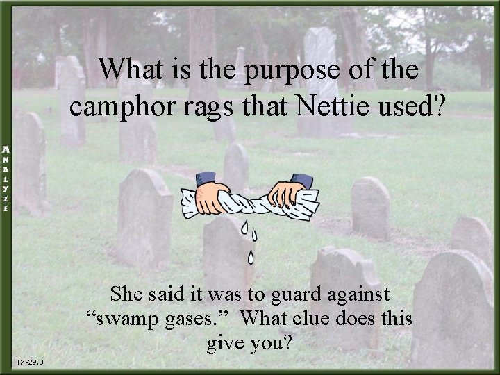 What is the purpose of the camphor rags that Nettie used? She said it