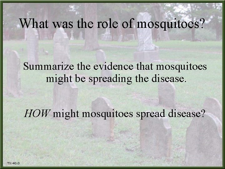 What was the role of mosquitoes? Summarize the evidence that mosquitoes might be spreading