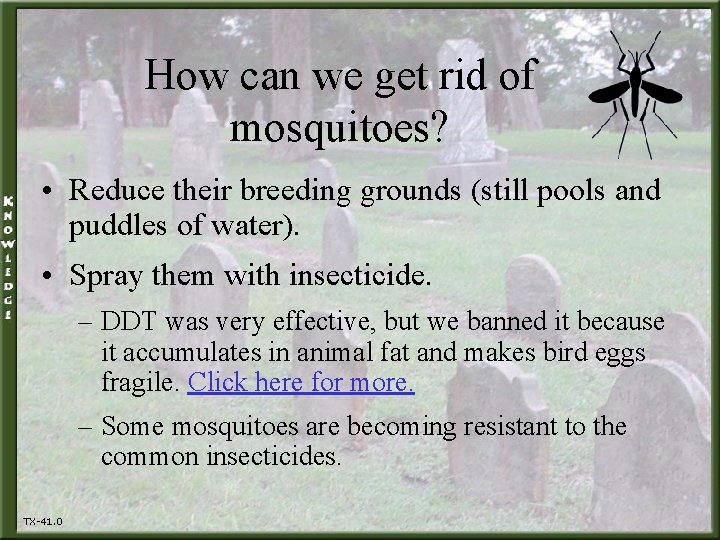 How can we get rid of mosquitoes? • Reduce their breeding grounds (still pools