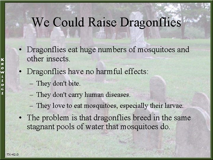 We Could Raise Dragonflies • Dragonflies eat huge numbers of mosquitoes and other insects.