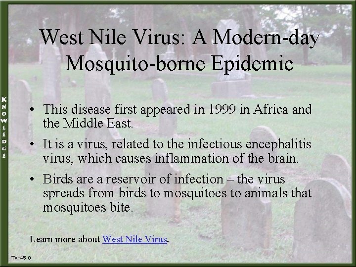 West Nile Virus: A Modern-day Mosquito-borne Epidemic • This disease first appeared in 1999