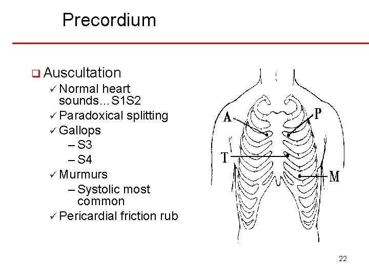 Precordium q Auscultation ü Normal heart sounds…S 1 S 2 ü Paradoxical splitting ü