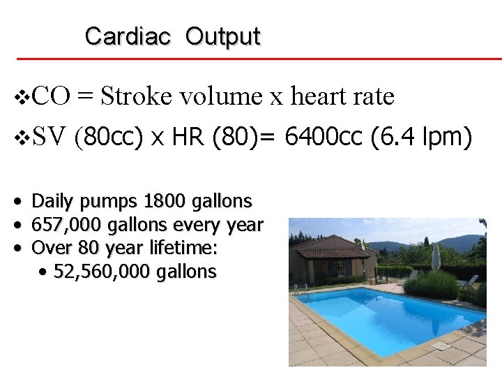 Cardiac Output v. CO = Stroke volume x heart rate v. SV (80 cc)