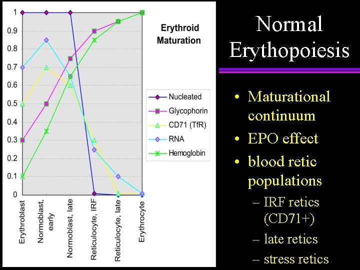 Normal Erythopoiesis • Maturational continuum • EPO effect • blood retic populations – IRF