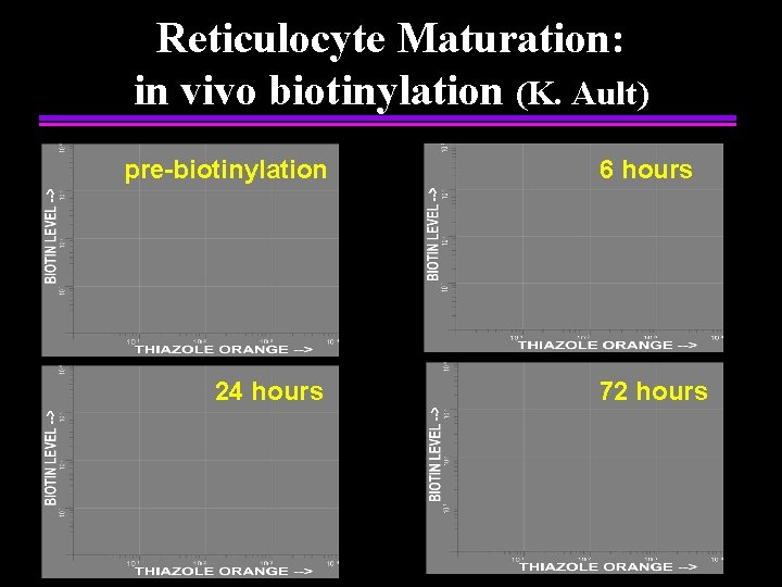 Reticulocyte Maturation: in vivo biotinylation (K. Ault) pre-biotinylation 24 hours 6 hours 72 hours