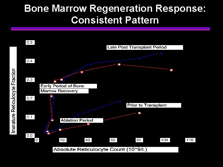 Bone Marrow Regeneration Response: Consistent Pattern 