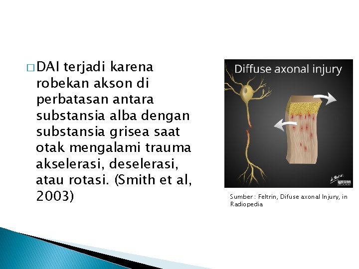 � DAI terjadi karena robekan akson di perbatasan antara substansia alba dengan substansia grisea