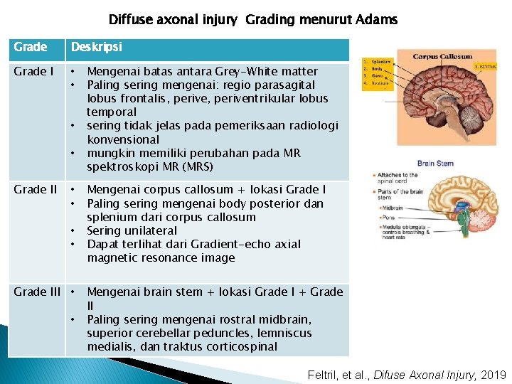 Diffuse axonal injury Grading menurut Adams Grade Deskripsi Grade I • • Grade III