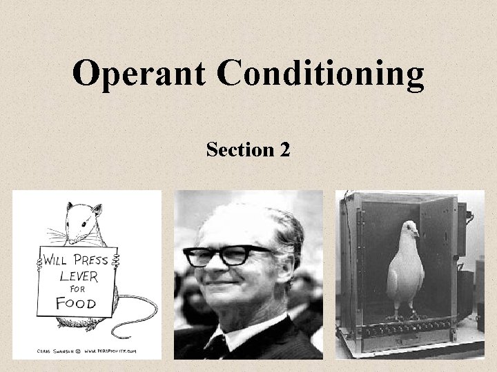Operant Conditioning Section 2 