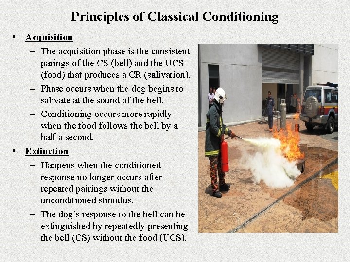 Principles of Classical Conditioning • Acquisition – The acquisition phase is the consistent parings