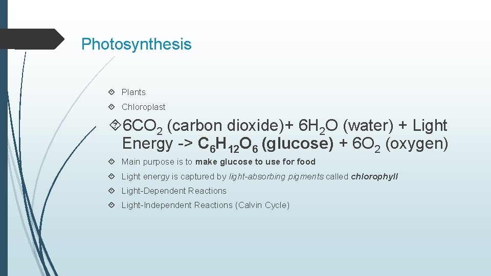 Photosynthesis Plants Chloroplast 6 CO 2 (carbon dioxide)+ 6 H 2 O (water) +