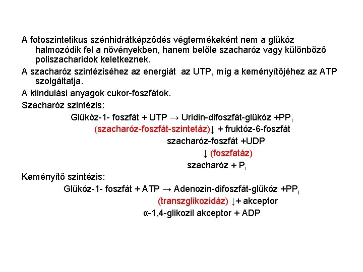 A fotoszintetikus szénhidrátképződés végtermékeként nem a glükóz halmozódik fel a növényekben, hanem belőle szacharóz