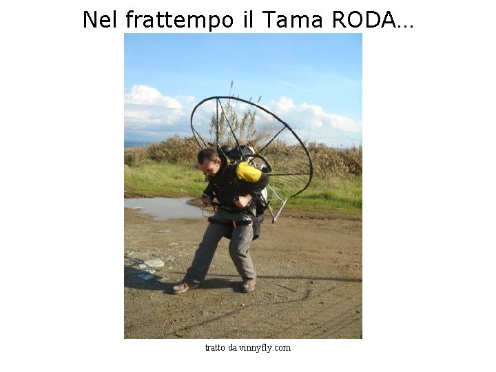 Nel frattempo il Tama RODA… tratto da vinnyfly. com 