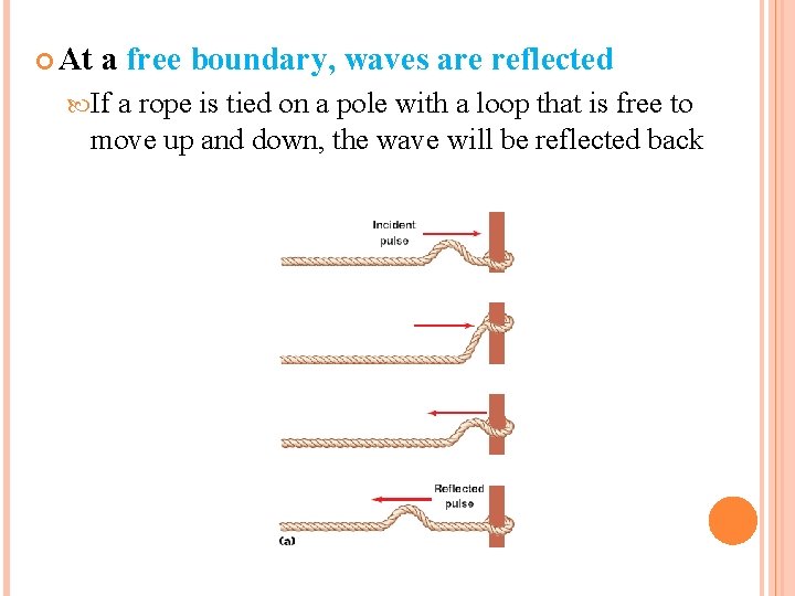  At a free boundary, waves are reflected If a rope is tied on