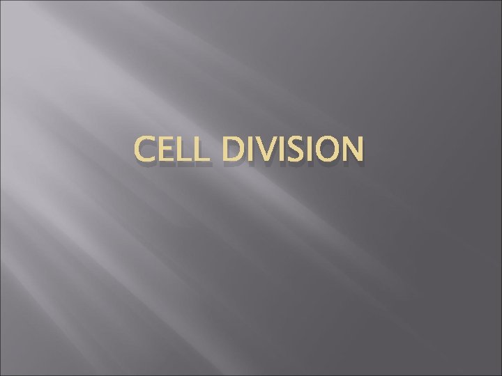 CELL DIVISION 