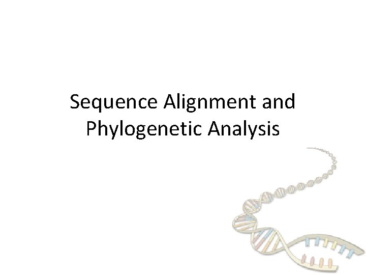 Sequence Alignment and Phylogenetic Analysis 