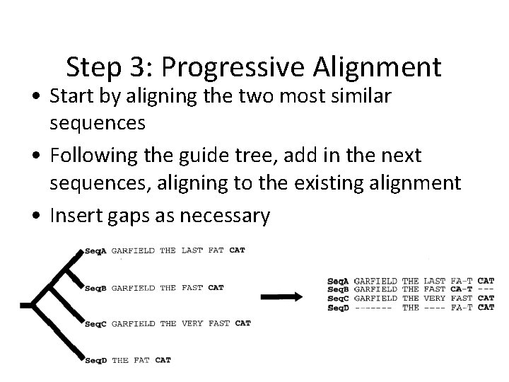 Step 3: Progressive Alignment • Start by aligning the two most similar sequences •